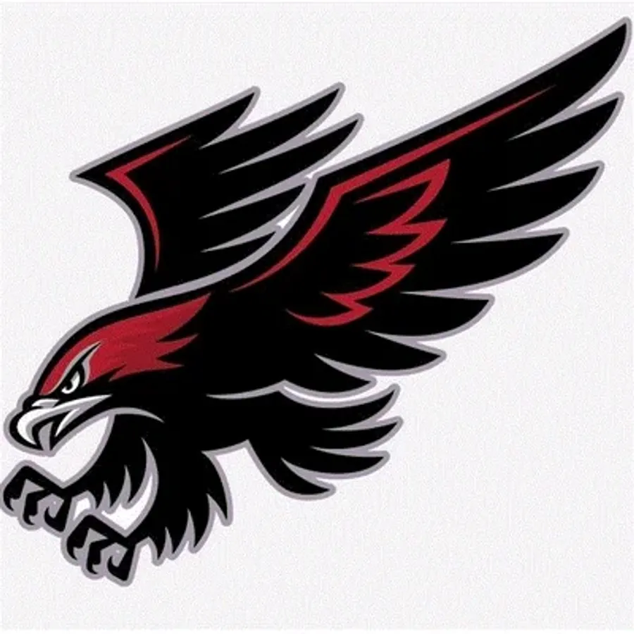 Calaveras High football team image from MaxPreps