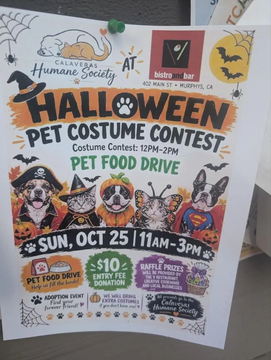 Halloween Pet Costume Contest and Pet Food Drive