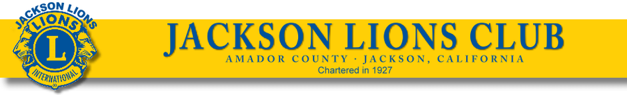 Jackson Lions Dandelion Days official site header image